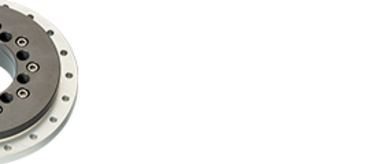PRT slewing ring bearings